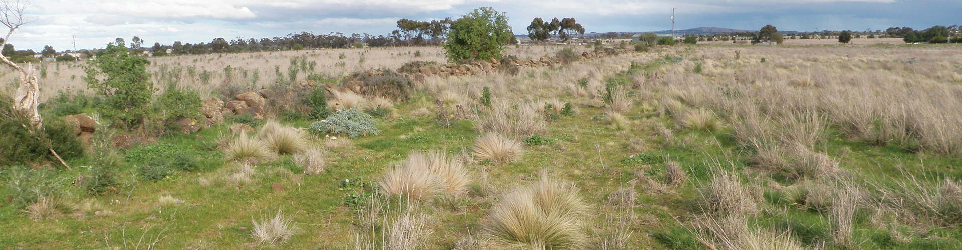 VSTWP media releases